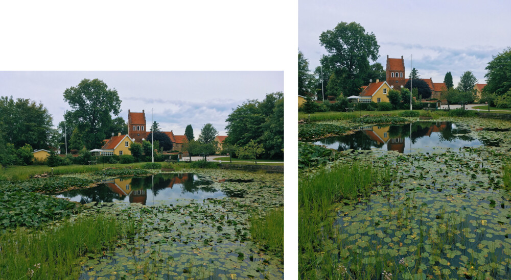 Høj- og bredformat af sø med åkander - huse og kirke ses i baggrunden